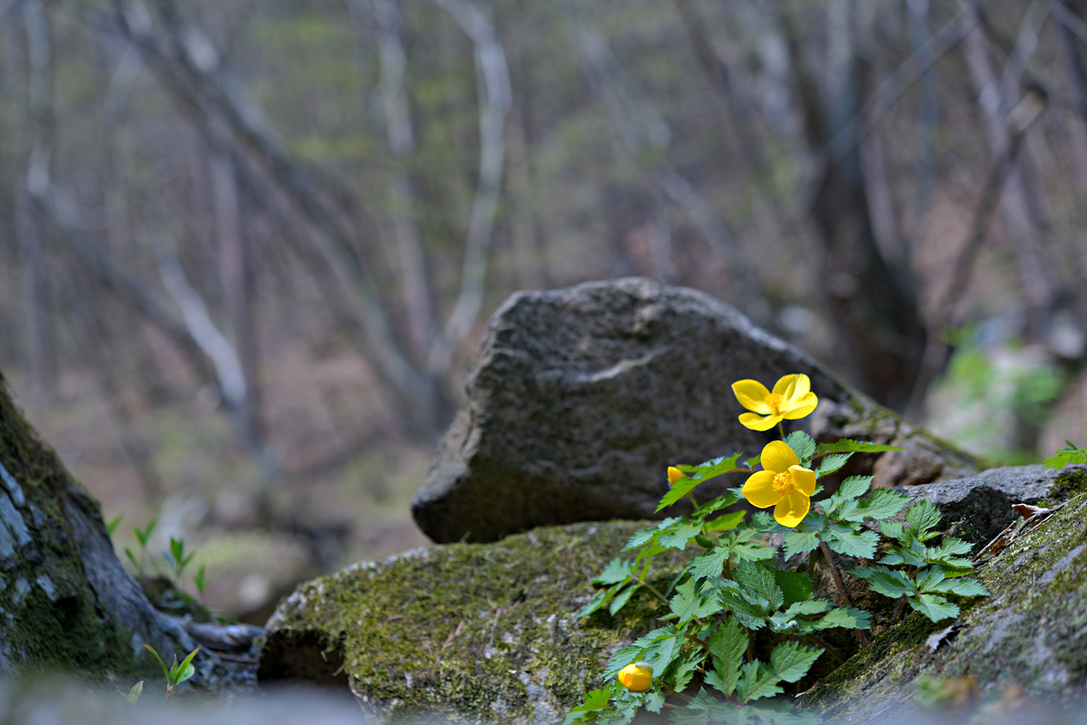 DSC_7577.jpg