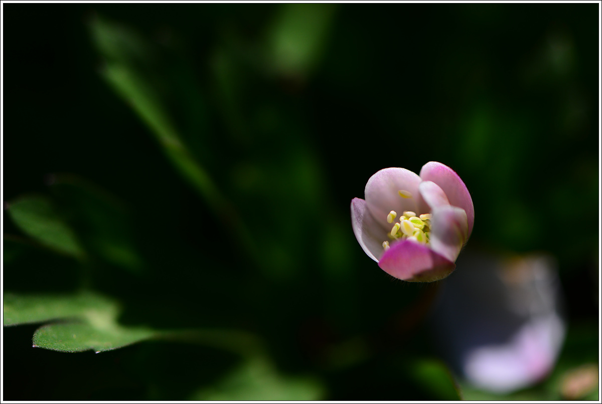 CJH_7504 완.jpg