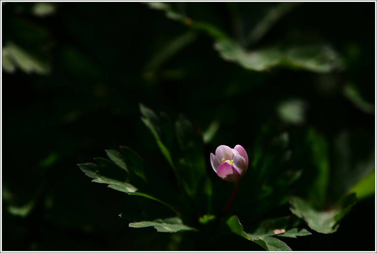 CJH_7502 완.jpg