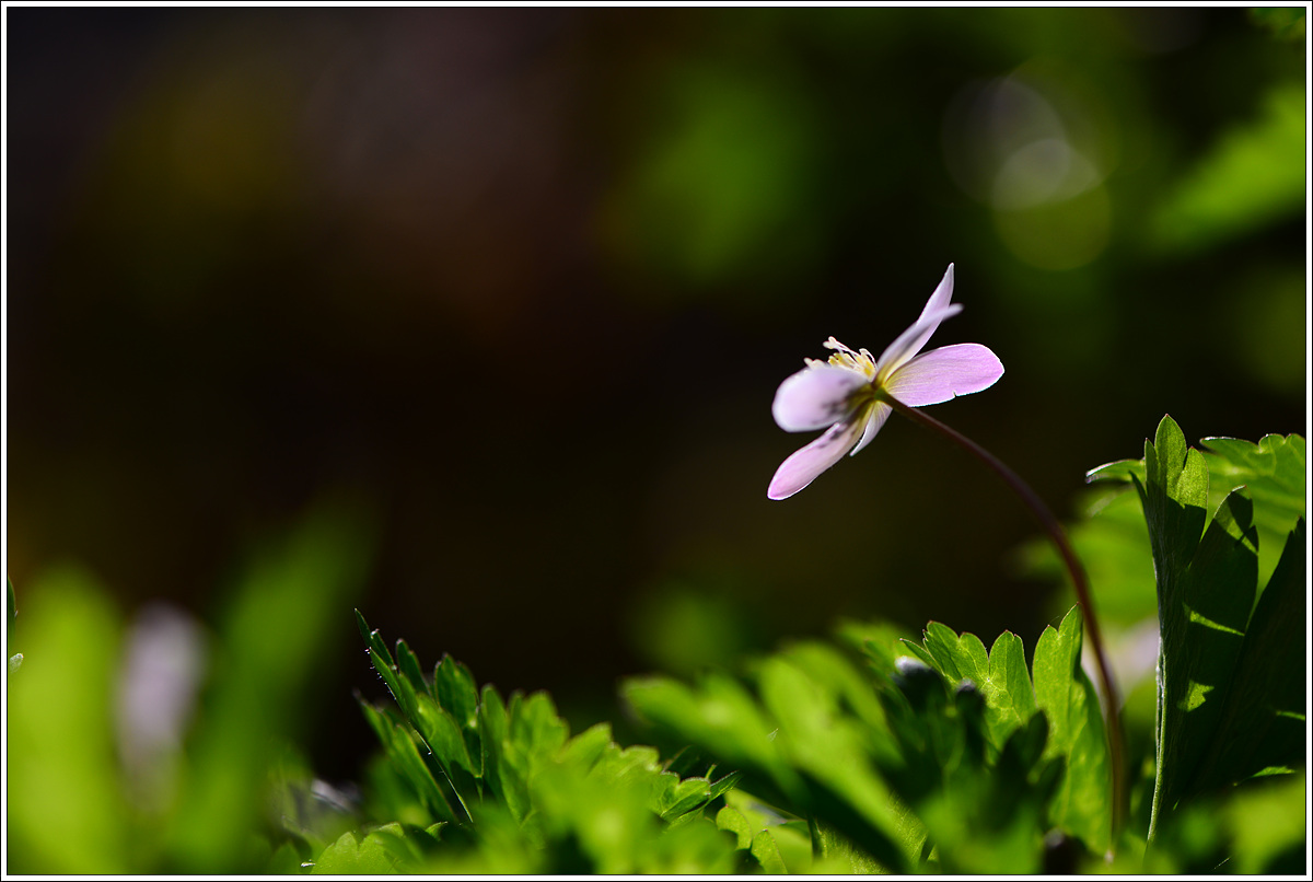 CJH_7513 완.jpg