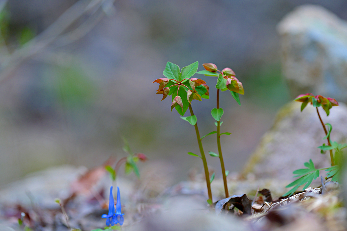 DSC_7641.jpg